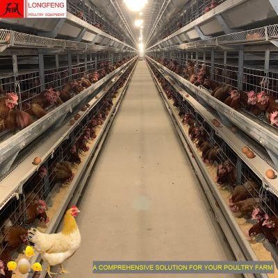on-Site Installation Instruction Local After-Sale Service in Asia Poultry Farms Layer Cage