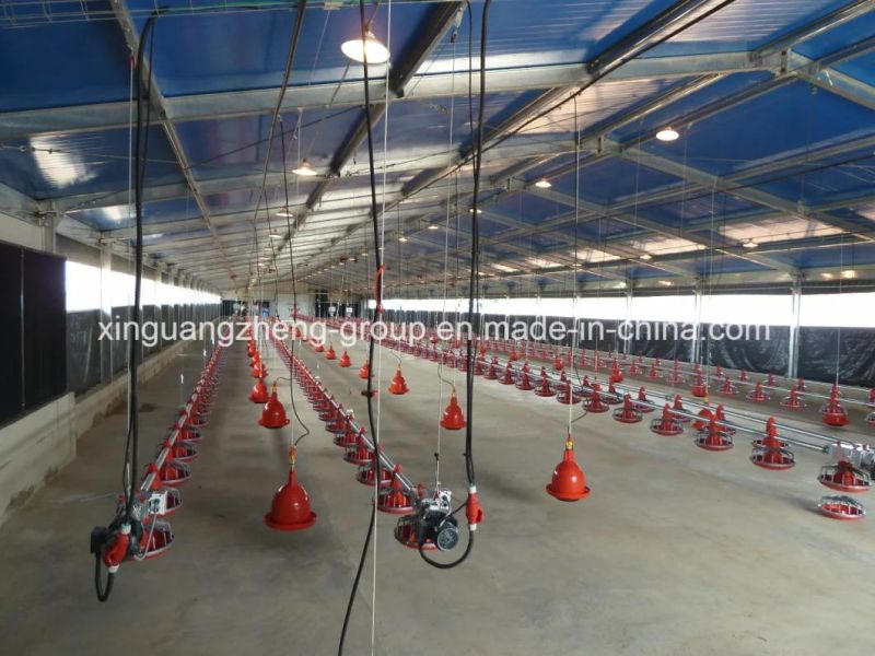 Automatic Poultry Farm Broiler Chicken Equipment