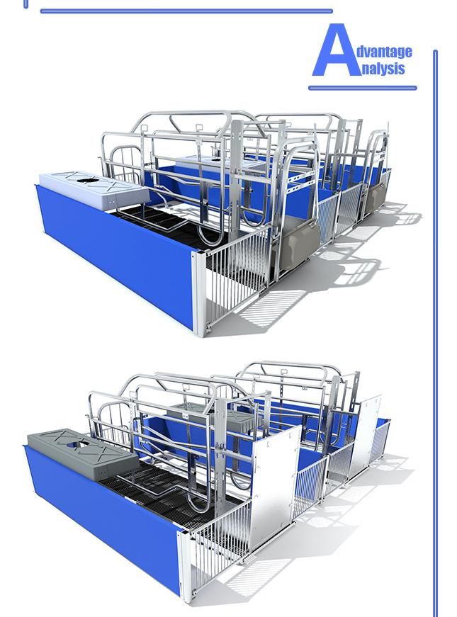 Pig Farm Machinery Galvanized Pig Farrowing Crate for Sale