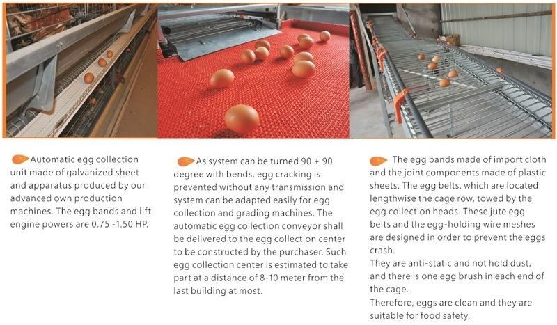 Chicken Cage Poultry Raising Equipment for Large Scale Poultry Farm