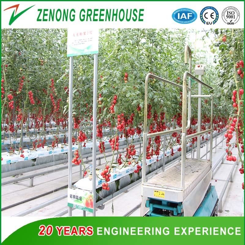 High Safety Hydraulic Elevating Work Platform for Picking up Fruits/Vegetables