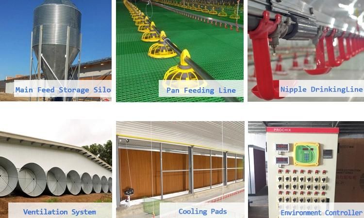Automatic Poultry House Chicken Pan Feeder for Broiler/Breeder