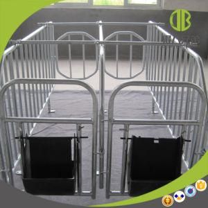 Good Quality Pig Gestation Stall One Pig One Room Stall