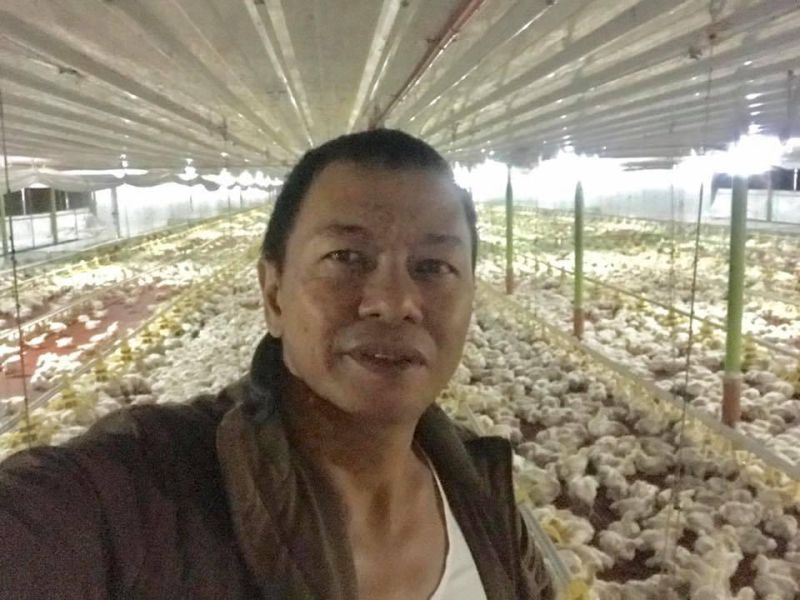 Prefabricated Steel Large-Scale Automatic Poultry Chicken Farm Building for Philippines