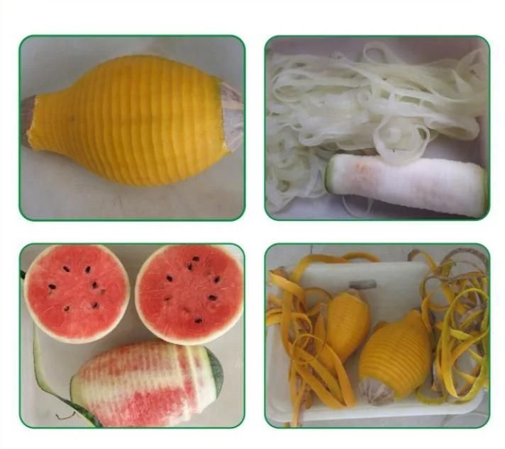 Stainless Steel Vegetable Fruit Automatic Peeling Machine Small Electric Pineapple Peeling Machine Suitable for Grapefruit