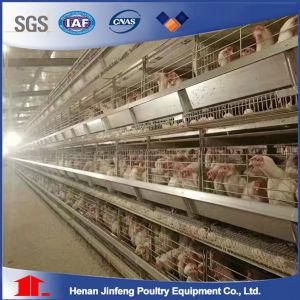 Type H Meilleur Prix Ferme Avicole Cages De Couche D&prime;oeufs De Poulet Jinfeng