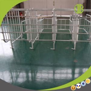 Cheap Factory Price Hot DIP Galvanized Pig Gestation Crates Stall