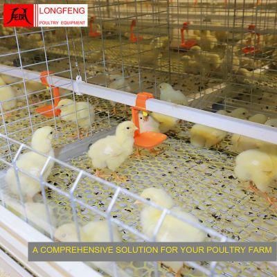 Incubator Broiler Chicken Cage with Top Wire Mesh Better Ventilation