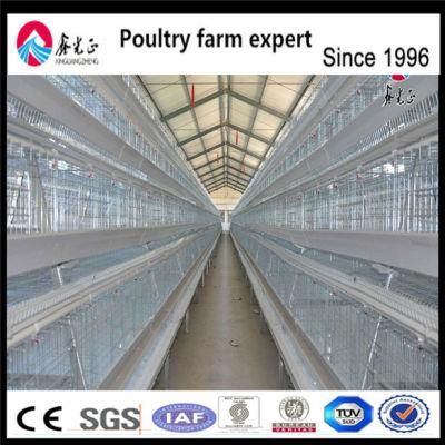 Layer Cage for Chicken Rearing House Design