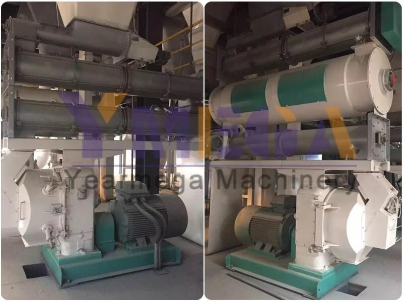 Automatic Animal Feed Production Machine Line Poultry Chicken Pig Cattle Feed Plant