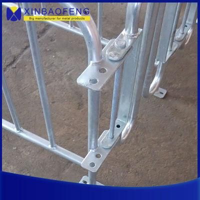 Factory Direct Sales of Pig Equipment, Galvanized Pipe, Sow Pregnancy Box/Stall