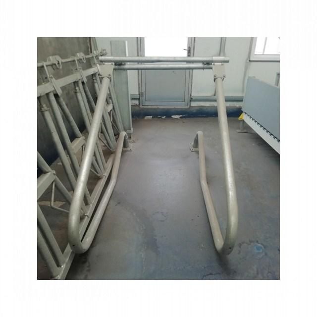 Custom Cow Headlock with Hot-Galvanized Steel Pipe / Cow Equipment / Cattle Headlock Factory