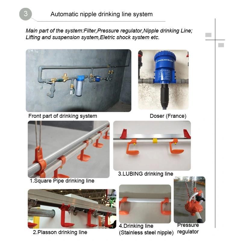 Automatic Poultry Farm Feeding and Drinking System for Chicken Broiler