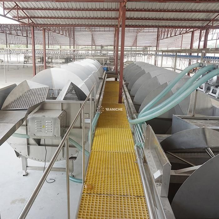 6000bph Poultry Duck Slaughtering Equipment Slaughtering Machine