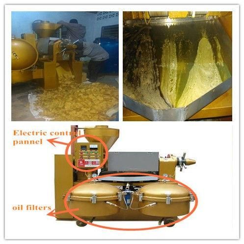 Automatic Oil Press Machine with Oil Filter Yzlxq140