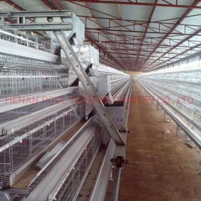 Automatic Egg Collection System Livestock Machinery Layer Cage Poultry Farm