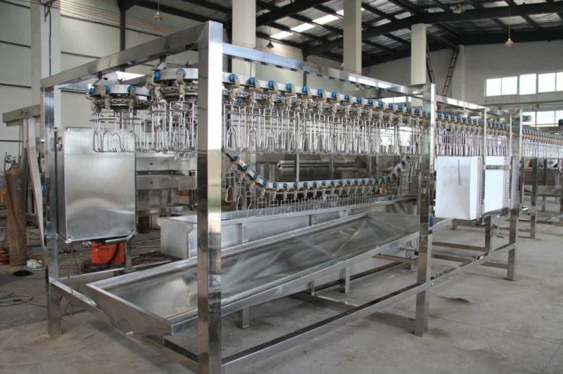 2000/3000 Per Hour Halal Abattoir Poultry Slaughtering Production Line with Plucker Machine