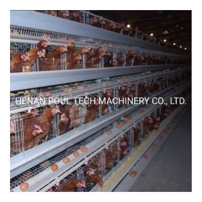 Cheap a Type Automat Chicken Layer Cage Poultry Farm Chicken Cage for Sale