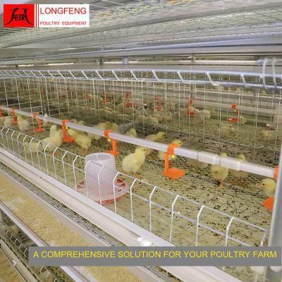 Good Service Customized Longfeng Standard Packing 1250*800mm Broiler Chicken Cage