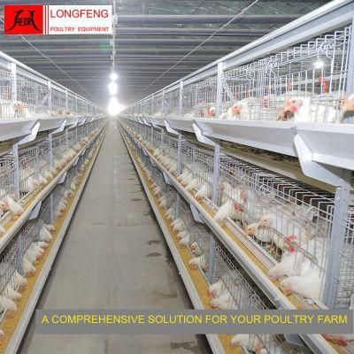 Automatic Chicken Farming Longfeng China House Poultry Farm Broiler Cage Equipment Manufacture 9lcr-3120