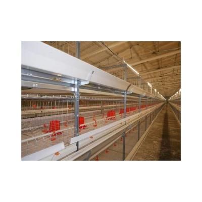 High Quality Poultry Farm Battery H Type Chicken Cage for Nigerian Farm