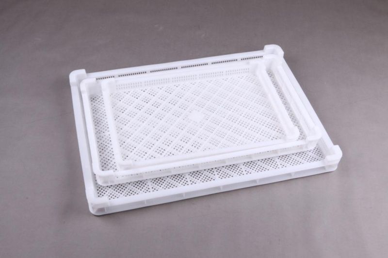 Frozen Plate for Dressing Plant for Broiler Dressing Plant for Chicken