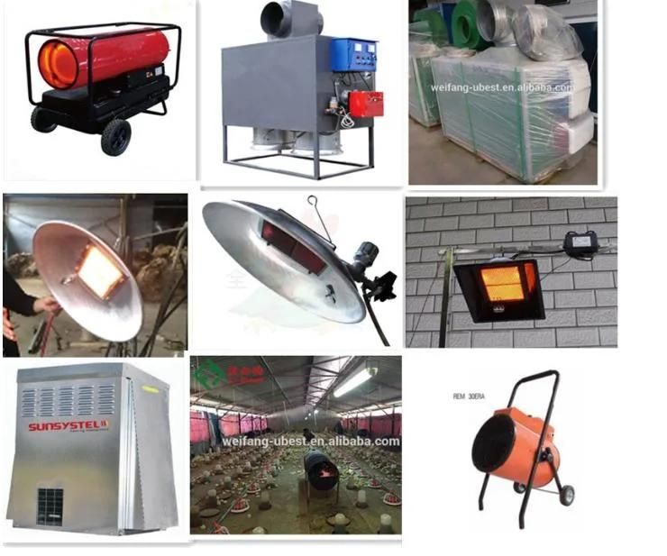 Poultry Equipment Chicken House Feeder/Nipple Drinking/Ventilation