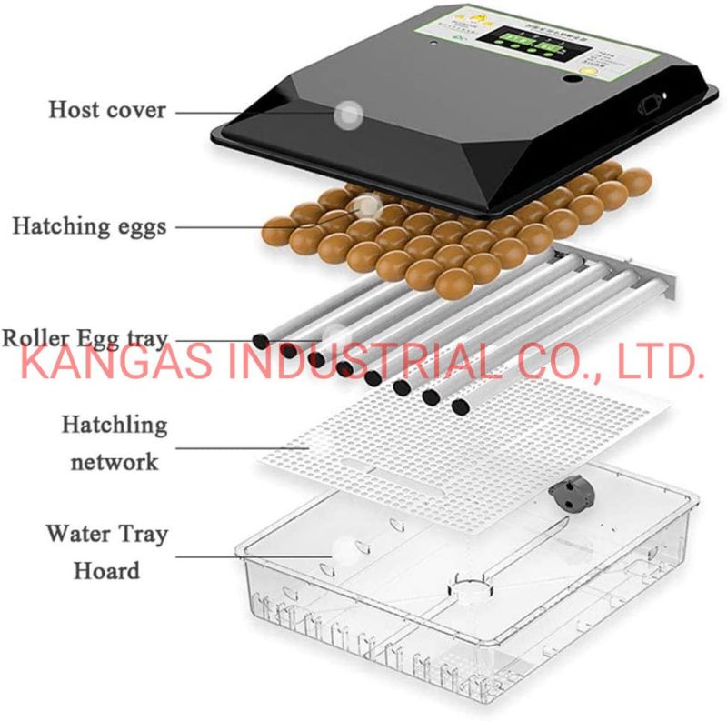 New Model Automatic Mini Chicken Poultry Quail Egg Incubator for Sale