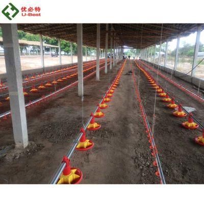 Broiler Chicken Equipment for a Prefabricated Poultry House