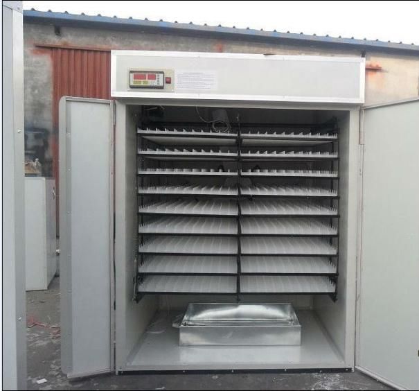 Ce Approved Automatic Egg Incubator for Hatching 264 Eggs (EW-5)