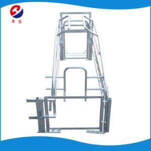 Comparetive Price Pig Farrowing Crate / Cage for Sows / China Factory Supplier