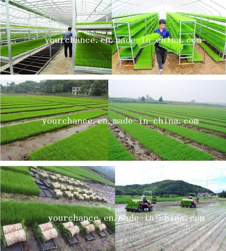 3 Years Warranty Green Color 100% New Material Rice Nursery Tray Flat Tray Plastic Tray