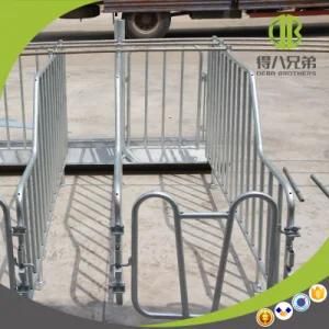 Farm Equipment Design Livestock Pig Gestation Stall