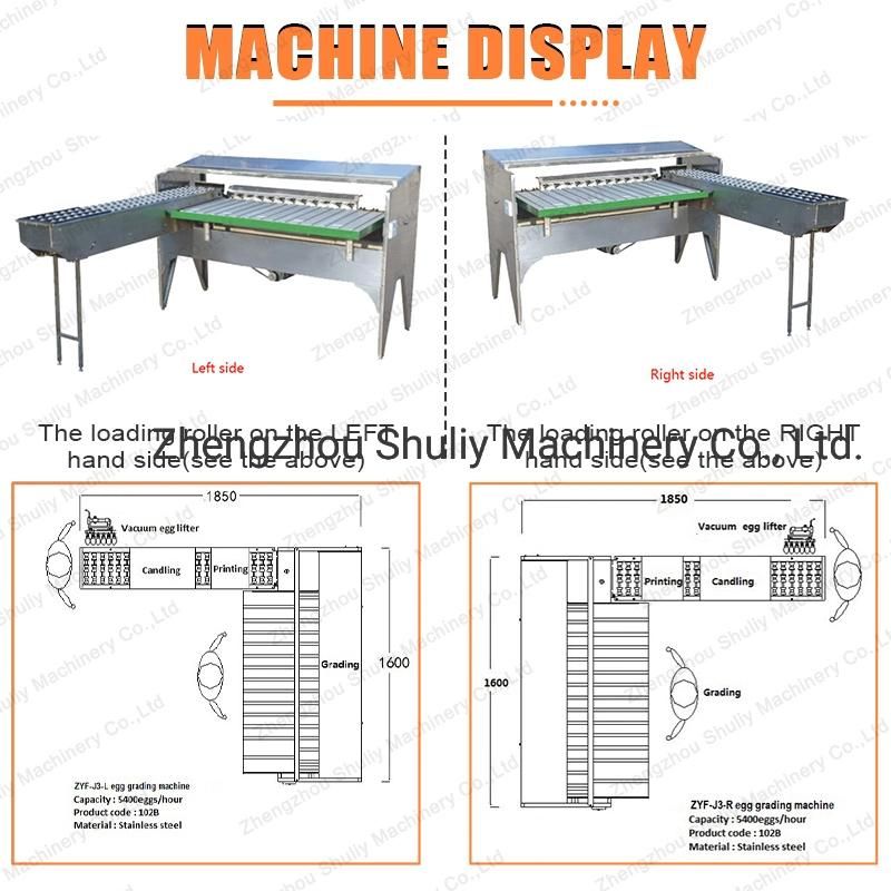 High Quality Egg Grading Sorting Machine Egg Grader with Best Price