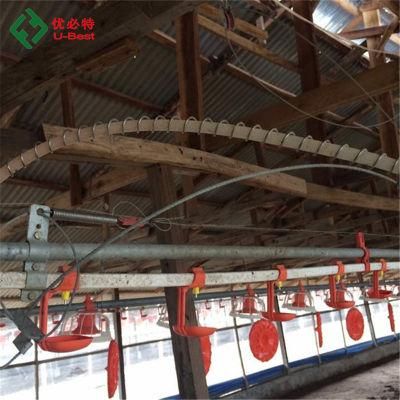 Fully Automatic Poultry Farm Supplied From U-Best Nancy