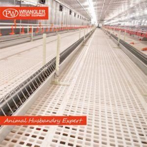 Automaitc Poultry Equipment