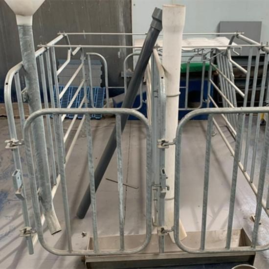 Pig Equipment Sow Limitation Stall for Livestock Galvanized Gestation Stall