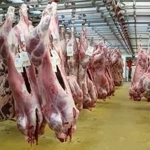 Sheep Abattoir Machine Halal Butcher Slaughterhouse for Goat Debonine