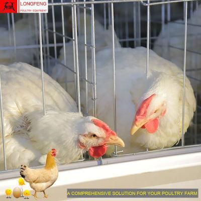 Local After-Sale Service in Asia Poultry Farming Equipment Chicken Egg Laying Cage