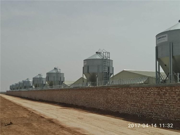 High Quality Customized Poultry and Pig Farm Feeding Line Feed Silo