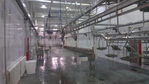 Sheep Slaughter Equipment Sheep Goat Skin Remover Skinning Machine