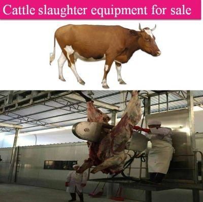 Slaughterhouse Cattle Beef Slaughtering Equipment Meat Processing Machine for Sale