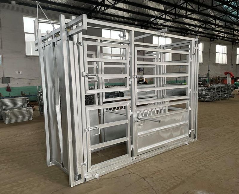 Hot DIP Galvanized Epidemic Prevention Hoof Trimming Weight Cattle Crush Cattle Squeeze