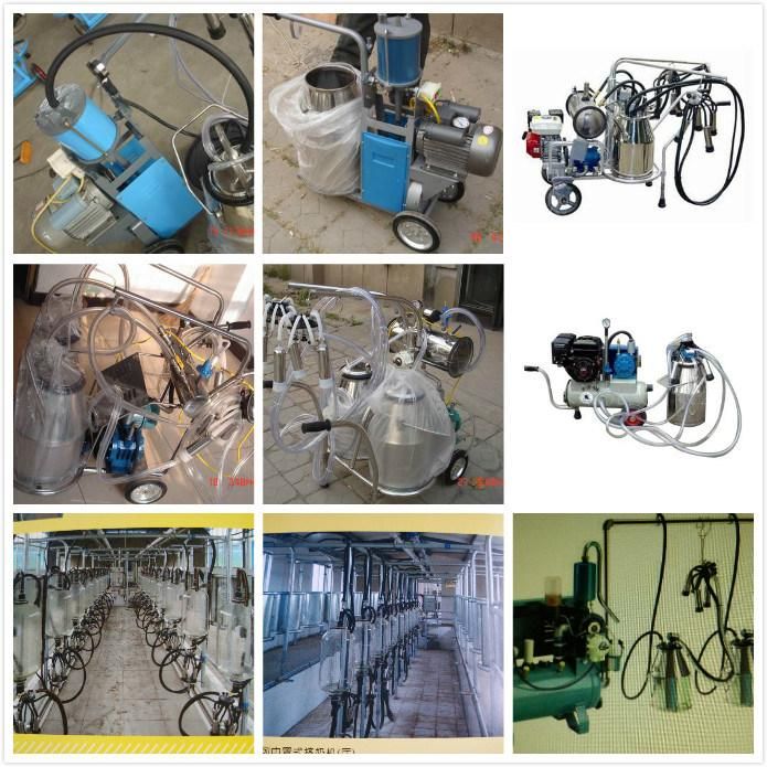 One Bucket Vacuum Pump Milking Machines for Cows