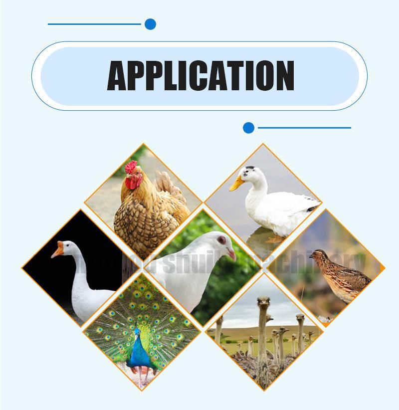 Incubator 2112 Incubator Chicken Incubator Price in Nepal