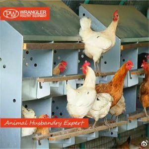 Poultry Farm Egg Equipment for Layer Nest Box