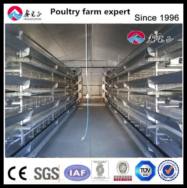 Chicen Farm Use Chicken House and Auto Equipment