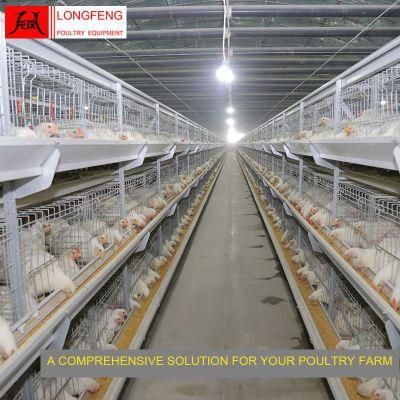 on-Site Installation Instruction Automatic Chicken Cage Farming Poultry Farm Layer Cages Equipment