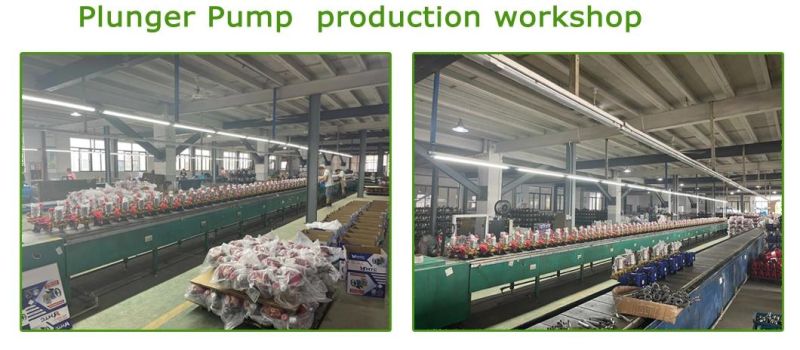 Gasoline Plunger Pump Farm Power Sprayer Sprayer Pump