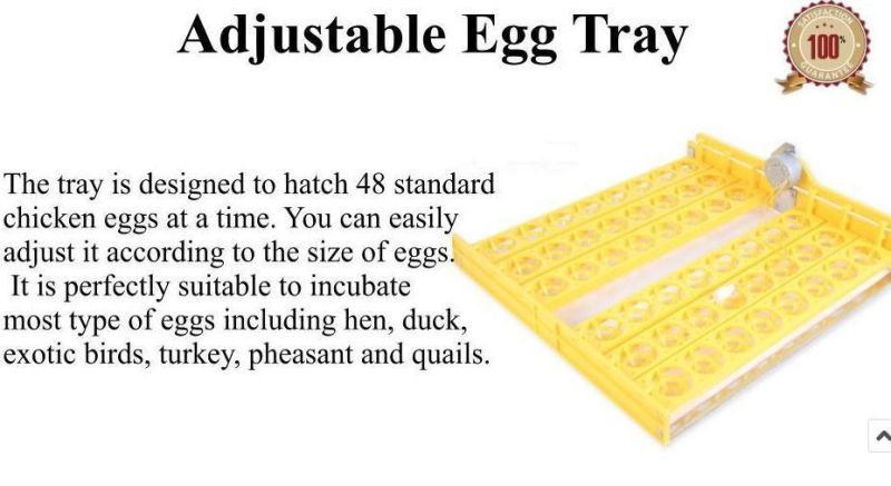 High Hatching Rate Automatic Mini Egg Incubator Hold 48 Eggs for Sale